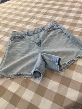 American Eagle Outfitters Light Wash Distressed Denim Shorts